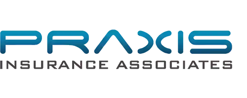 Praxis Logo